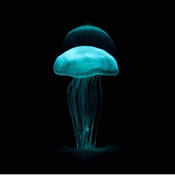 Dynasty Other - Glow in The Dark Glass Jellyfish